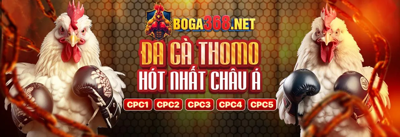 Tham gia Bong68 ngay để nhận khuyến mãi đá gà độc quyền
